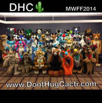 DHC Mwff 2014 group photo