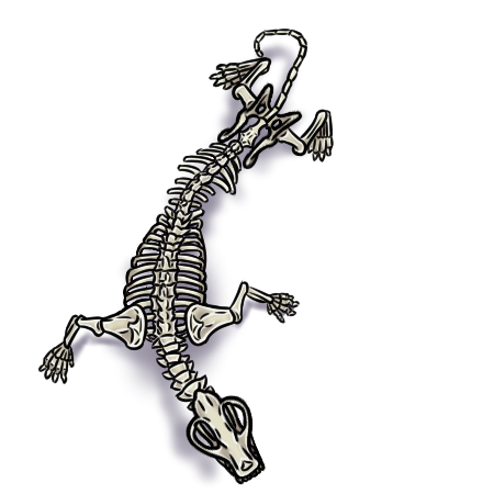 Vtt Rune Wolf VTT Token - Wolf Skeleton by Shock-Skull on DeviantArt