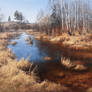 River Oredezh at spring.