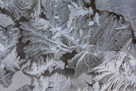 Winter's fractal