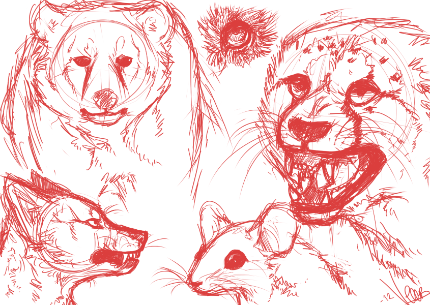 Animal sketches