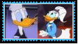 DonaldXDaisy Duck Stamp