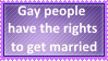 They have the right to get married by KittyJewelpet78