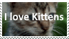 I love Kittens by KittyJewelpet78