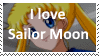 I love Sailor Moon