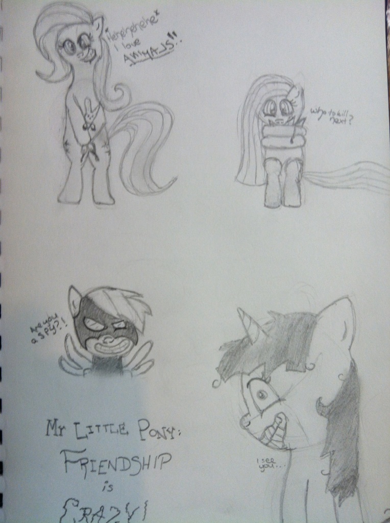 My Little Pony: Friendship is Crazy.