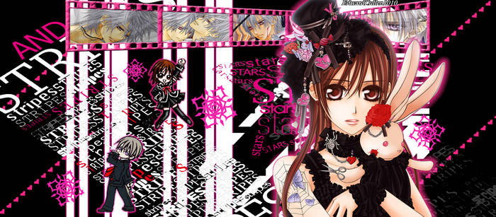 Stars:Stripes -Vampire Knight-