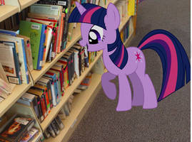 My Little Twilight SParkle: Human literature...