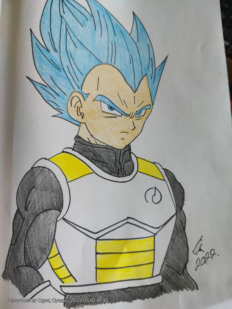 Vegeta - Super Saiyan Blue by DragonBallArt66 on DeviantArt