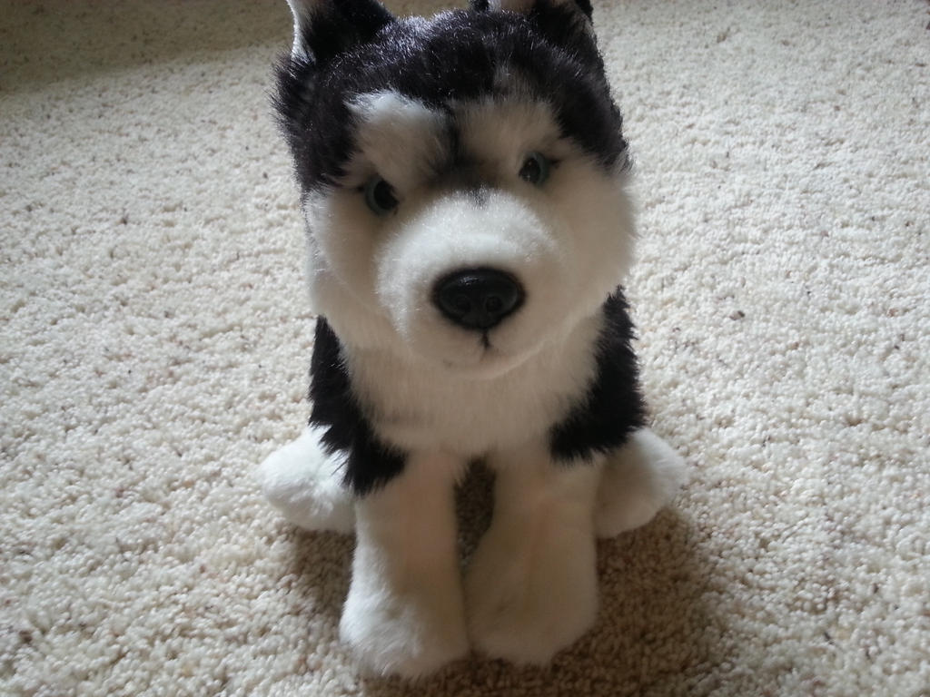 Webkinz Husky Pup Webkinz Husky Pup