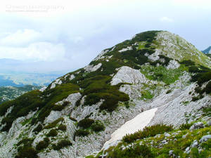 Mountain Summer