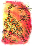 Oil Pastels: Tiger by kxeron