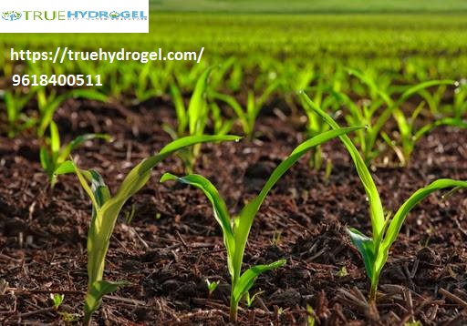 Agriculture Super Absorbent Polymer Manufacturer I By Truehydrogel On Deviantart