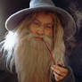 LOTR Gandalf the Grey - portrait II