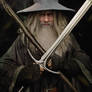 Gandalf The Grey