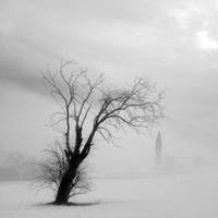 Tree and monastery in the snow