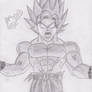 Goku False Super Saiyan - DBZ