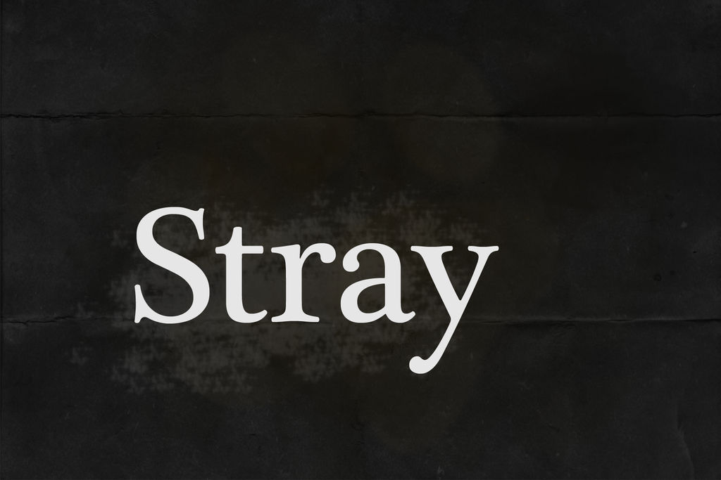 Stray Logo