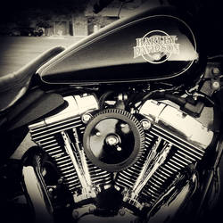 V-Twin...