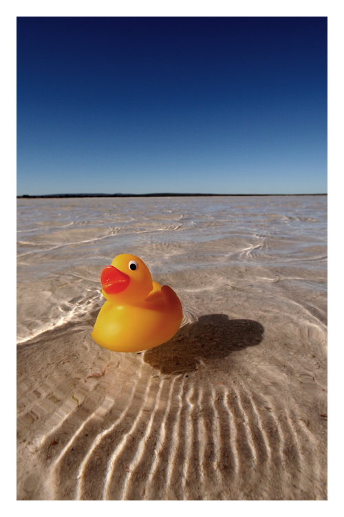 quack