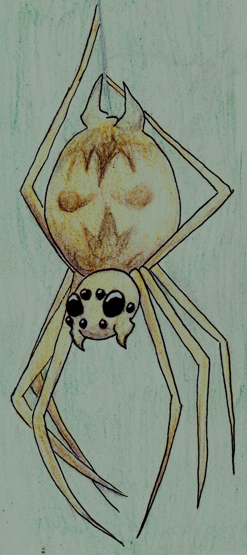 Deviantart Spider Spider by Wagggiat37 on DeviantArt