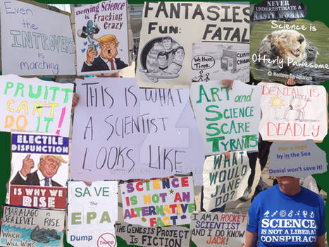 Science March Collage