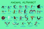 Animal Alphabet by diddles25
