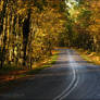 Autumn road