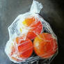 Oranges in a Plastic Bag