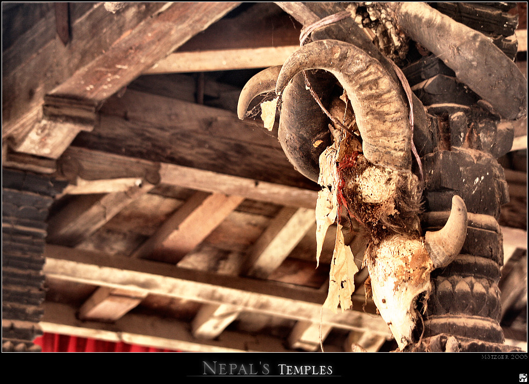 Nepal's Temples 21