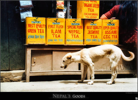 Nepal's Goods 7