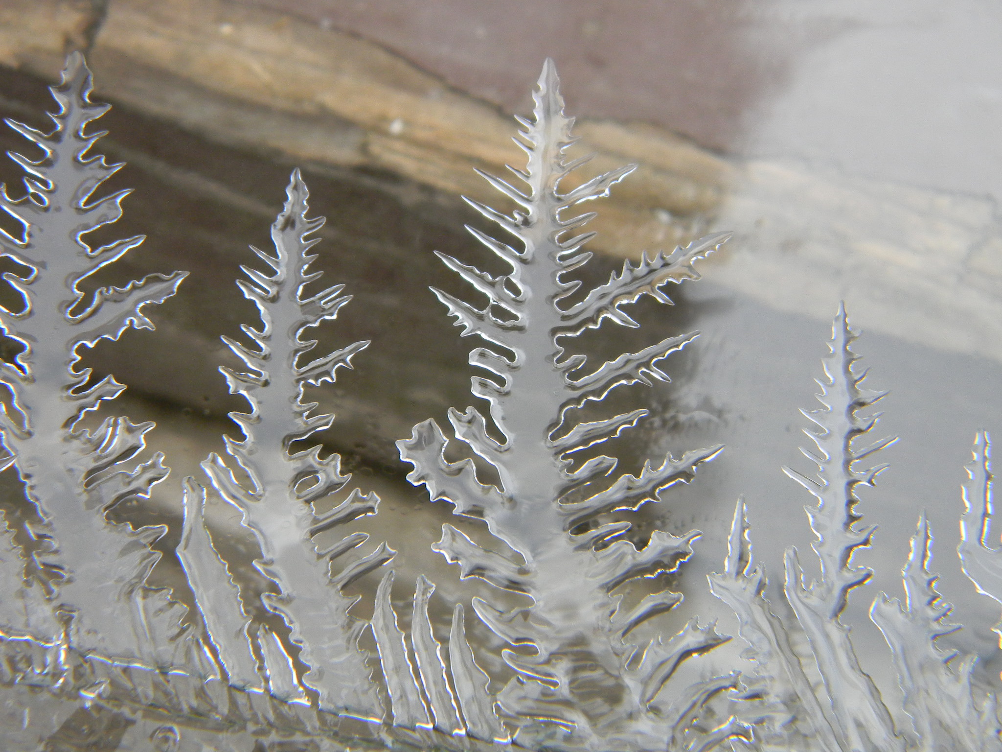 Beauty of Ice Crystals 5