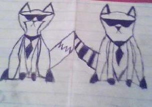 agent fox agent raccoon by PhantomZFox on DeviantArt