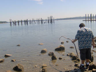 The Old Man And The Sea