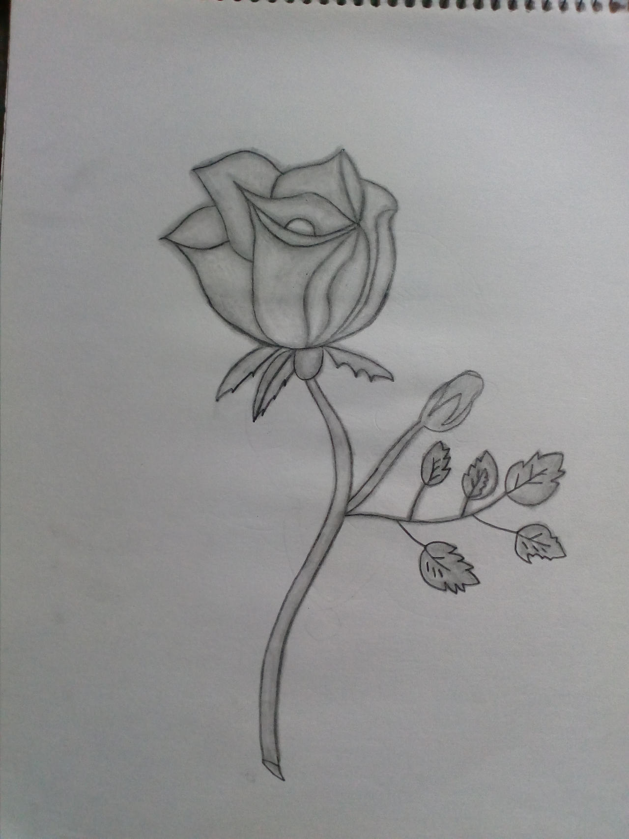 Mi primer dibujo a lapiz (rosa) by foxfast on DeviantArt