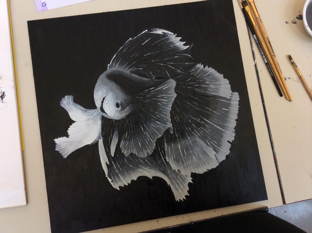 Two Fish Beta Ink monochromatic acrylic beta fish by WlNGZ on DeviantArt