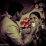 Shaadi,wedding photos,hindu,wedding photographer