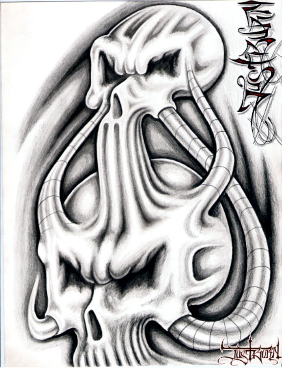 2007 skulls