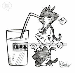 cat-team: milk