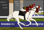 Summer Stakes|| Shadow Fox 1st! by Fox-Park