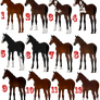 TB Foals (3/12) OPEN for ART