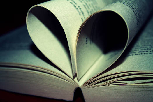 every novel is love