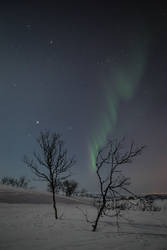 Aurora Borealis - The Northern Lights