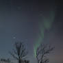 Aurora Borealis - The Northern Lights