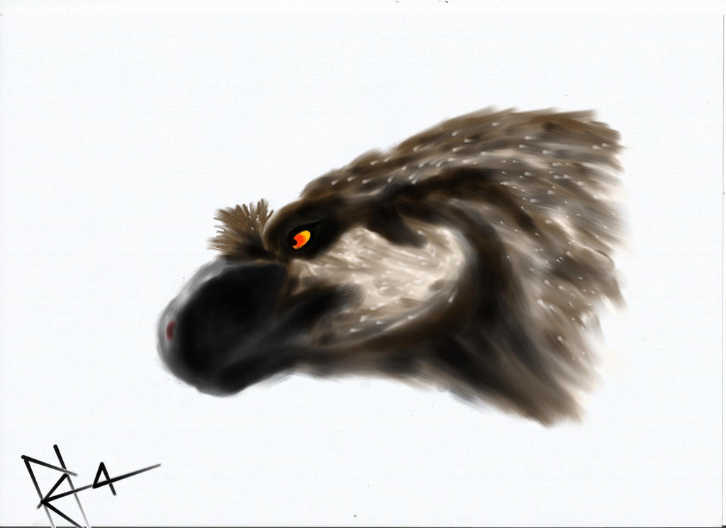 Dko Raptor Dakotaraptor by RAPTORHEARTthe4 on DeviantArt