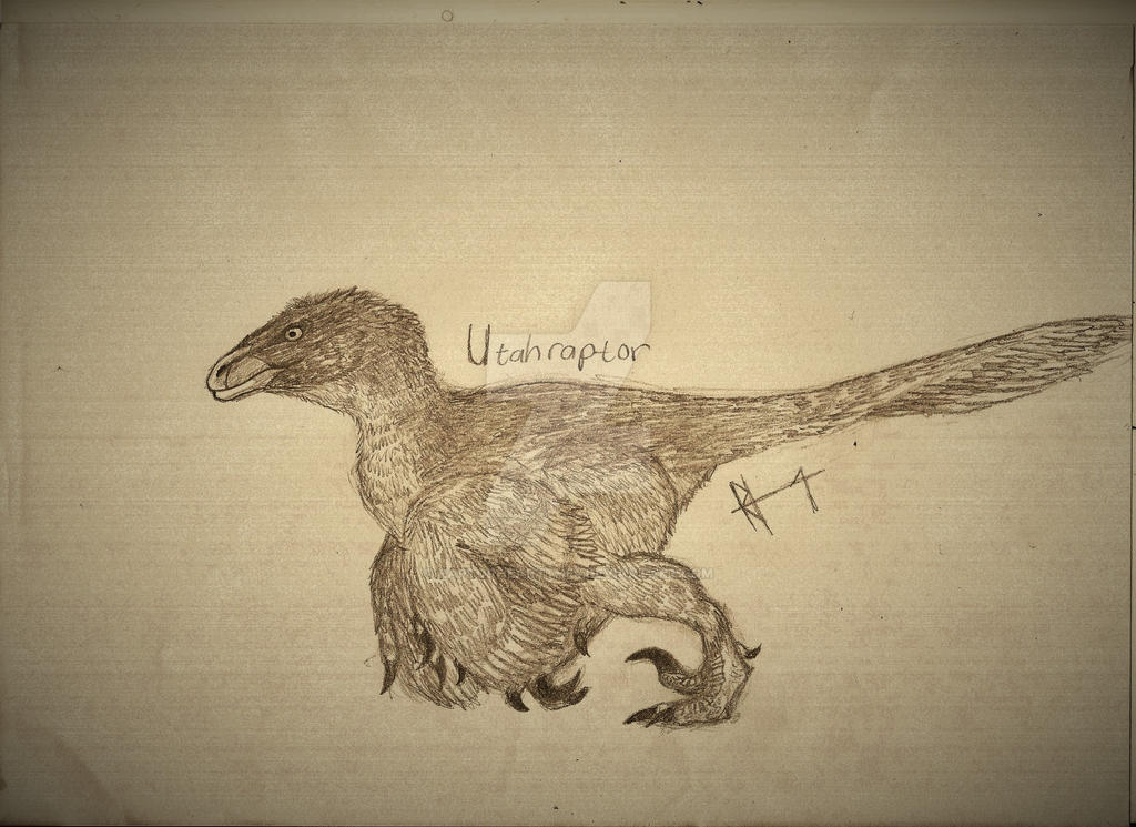Utah Raptor Outlines Utahraptor by RAPTORHEARTthe4 on DeviantArt
