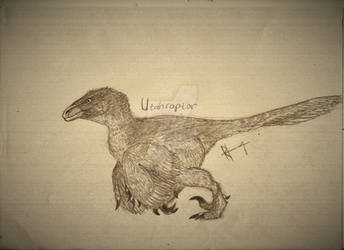 Utahraptor