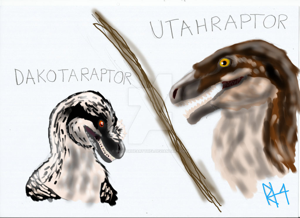 Valorous Raptors Fav. Raptors by RAPTORHEARTthe4 on DeviantArt