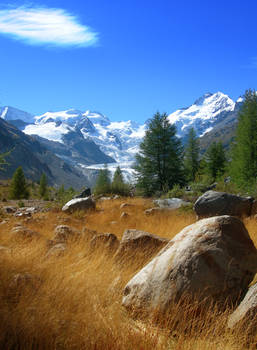 Morteratsch Glacier