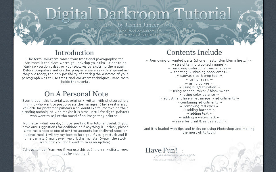 Digital Darkroom Tutorial